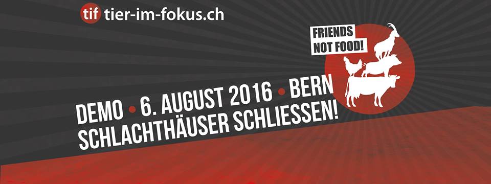 Schlachthäuser schliessen!